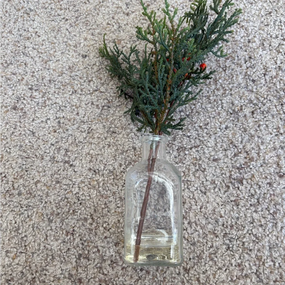 Artificial Plant Home Decor Evergreen Greenery Clear Glass From Target
